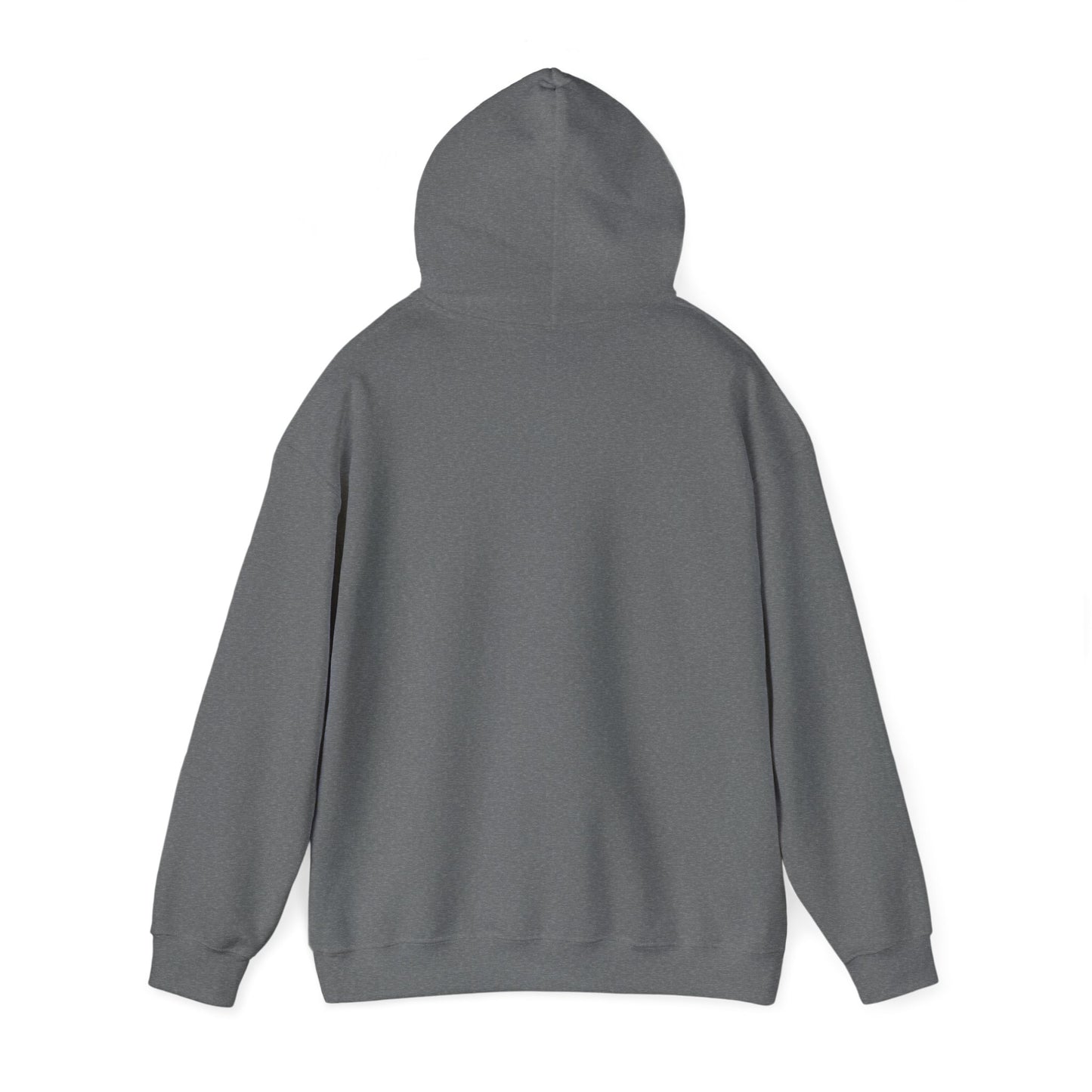 AVID INDOORSMAN BILLTENDO HOODIE