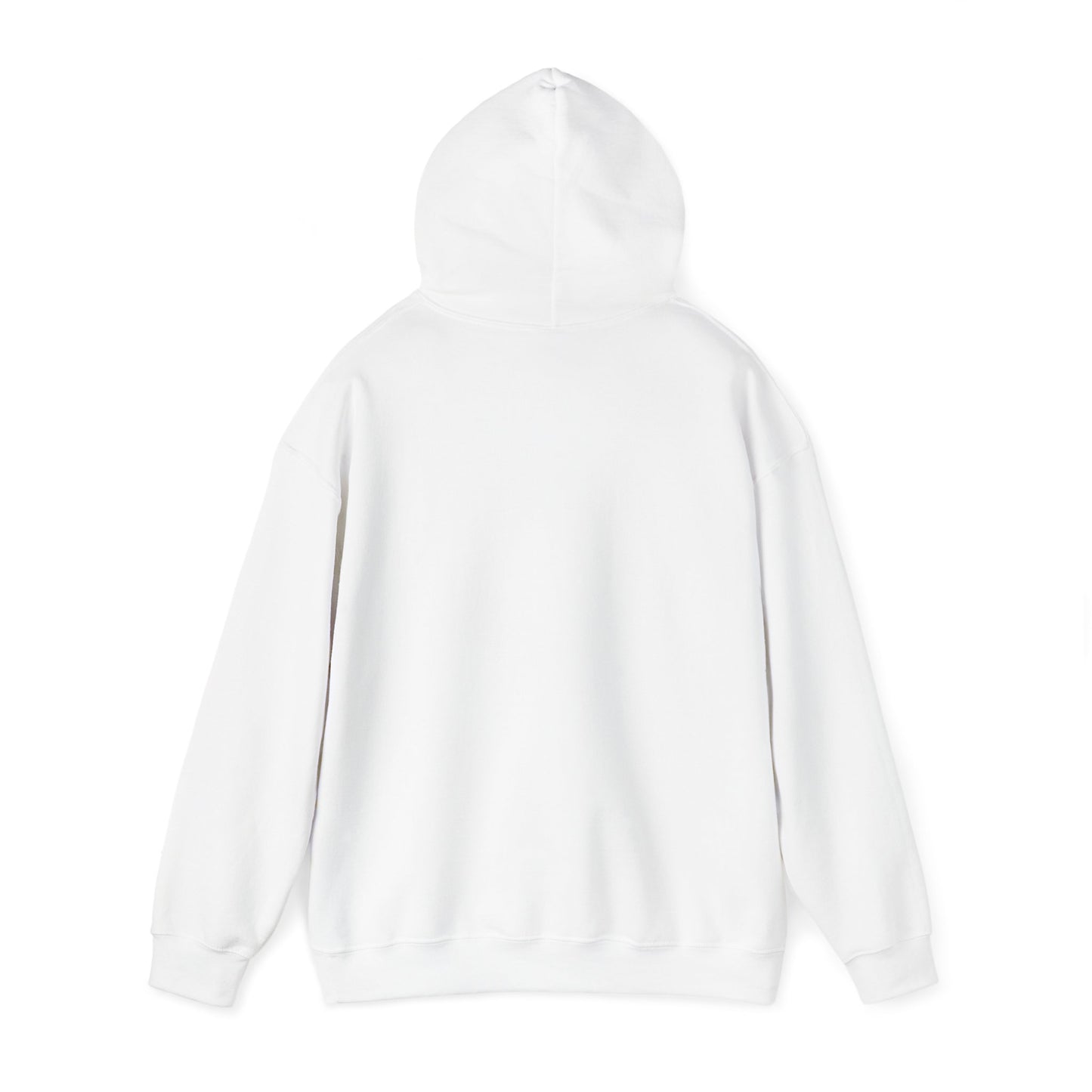 AVID INDOORSMAN BILLTENDO HOODIE